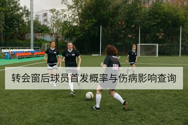 转会窗后球员首发概率与伤病影响查询